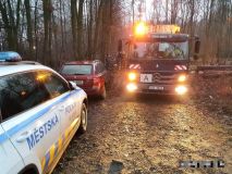 Z lesa naproti Slavoji odvezli tři kontejnery nepořádku. Původcem je místní bezdomovec