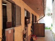 Dovolená na statku: Selský dvůr v Braňanech je malebné místo pro váš pobyt, výlet či akci, kde mají koně i zoo koutek, stylové ubytování a dobré jídlo