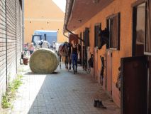 Dovolená na statku: Selský dvůr v Braňanech je malebné místo pro váš pobyt, výlet či akci, kde mají koně i zoo koutek, stylové ubytování a dobré jídlo