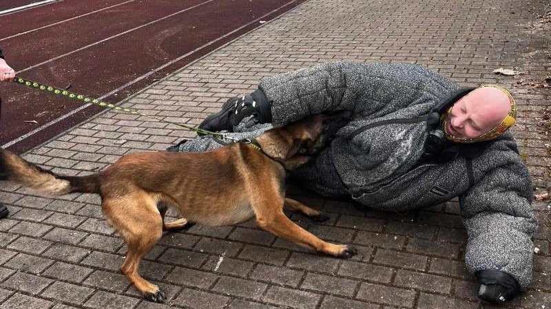 Kladenští psovodi z Městské policie vyjeli za dětmi do Mostu