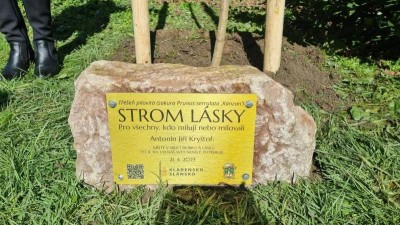 Buštěhrad má svůj Strom lásky