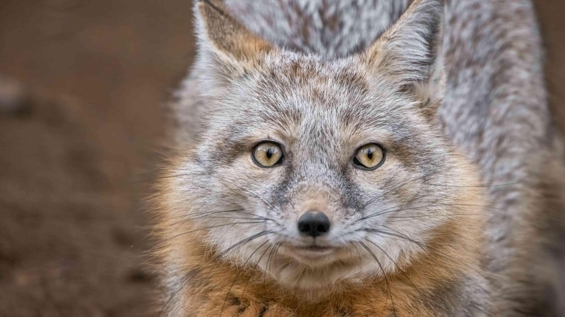 Foto: Zoopark Zájezd