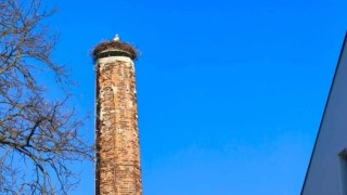 Do hn&iacute;zda v Kačici už přiletěl č&aacute;p. O měs&iacute;c dř&iacute;ve než loni