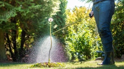 V lokalitě Dubí a Dříň se bude ještě několik dní hubit plevel