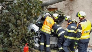 Auto ve stromu. Hasiči museli strom rozřezat