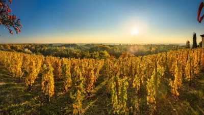 Kam na tradiční vinobraní ve středních Čechách