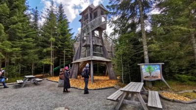 Tady je Království lesa! Víte, kde v Česku najdete zábavní park pro děti mezi vzrostlými stromy?
