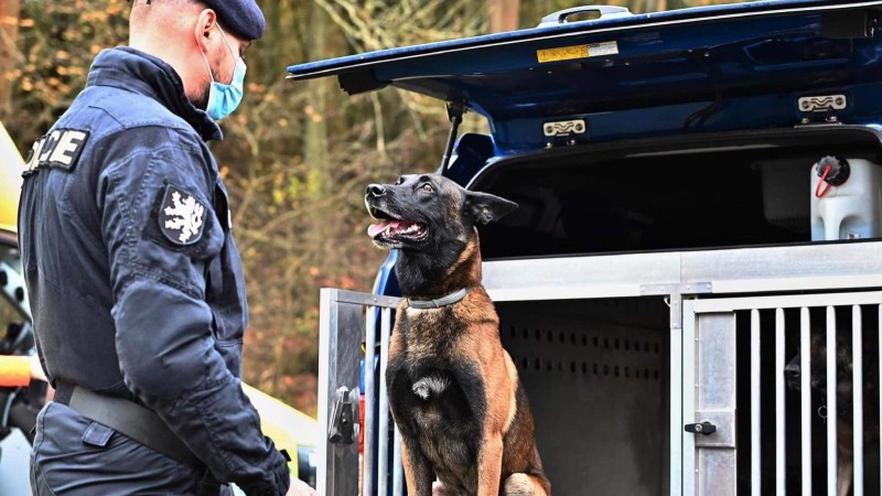Kladenský policejní pes Fantom řečený Fanouš jde do důchodu