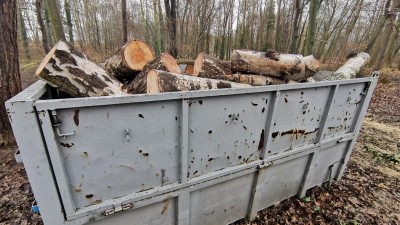 Ve slánském lesoparku Háje probíhá kácení stromů