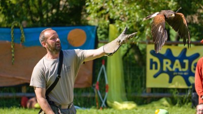 V neděli se představí v Zooparku Zájezd sokolník se svojí letkou