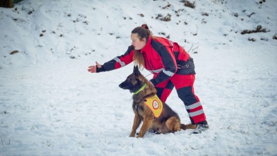 Jak se mohou psi v Zooparku Zájezd vyřádit? Na pachové stopě