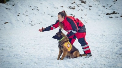 Jak se mohou psi v Zooparku Zájezd vyřádit? Na pachové stopě