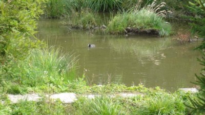 Tip na výlet na Kladensku a Slánsku: Vodní park Čabárna