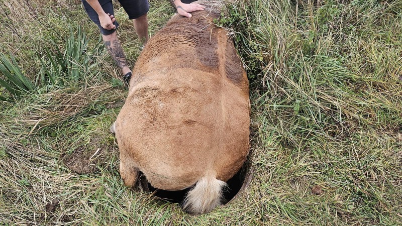 foto HZS Středočeský kraj 