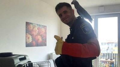 Hledá se majitel tohoto krásného papouška. Našel se v Kročehlavech