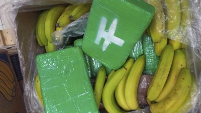 V českých supermarketech našli v krabicích od banánů kokain za dvě miliardy! Hledají se další balíčky
