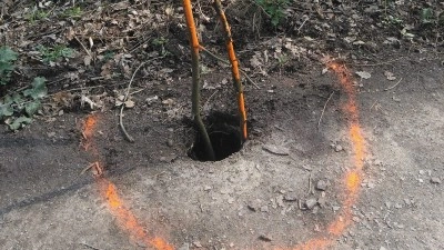 Pozor ať do ní nespadnete. Benediktíni díru na své lesní cestě na Vinařice stále neopravili