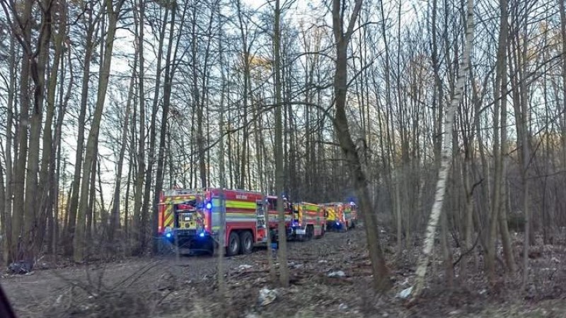 V lese na Kožovce opět hořelo