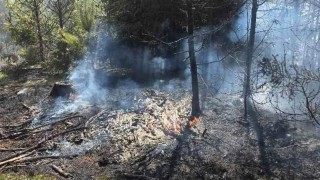 V sobotu hořel les u Kamenných Žehrovic
