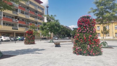 Kladno zaplavují květinové věže, první byly postaveny na náměstí E. Beneše