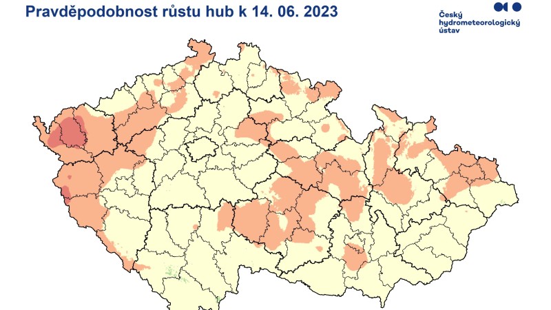 Kam jít na houby? Poradí vylepšená mapa růstu hub