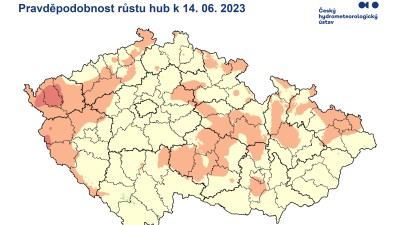 Kam jít na houby? Poradí vylepšená mapa růstu hub