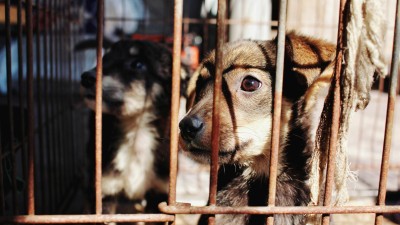 Město Bu&scaron;těhrad se vyj&aacute;dřilo k situaci v &uacute;tulku Bouchalka