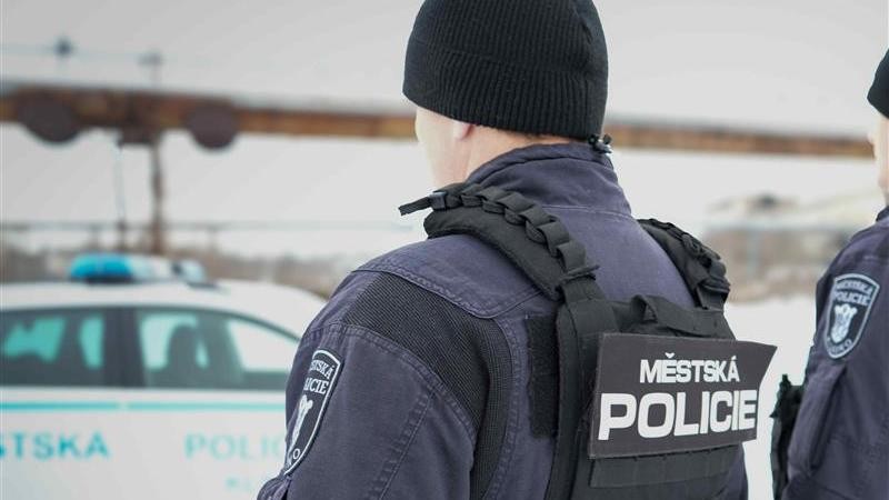 Městsk&aacute; policie pom&aacute;hala popadan&yacute;m chodcům v nesn&aacute;z&iacute;ch