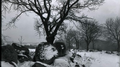 V Kladenském zámku proběhne vernisáž výstavy fotografií Jana Reicha, výstava pak potrvá až do listopadu