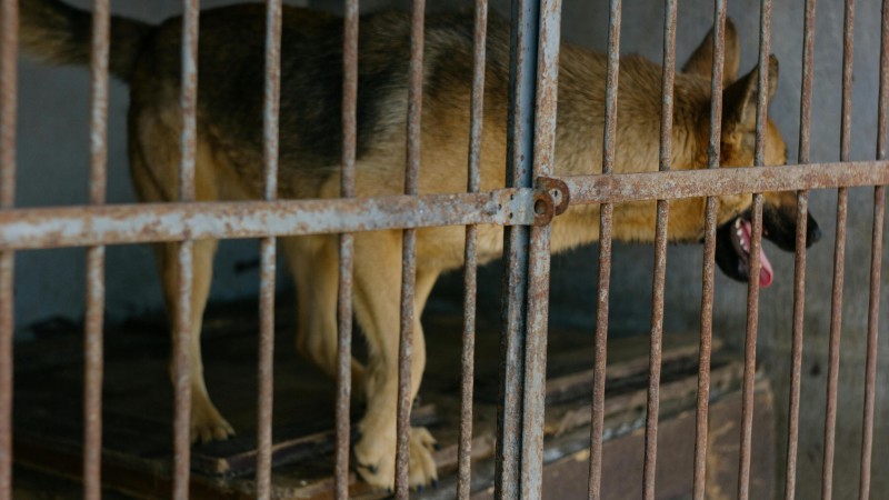 Na &uacute;tulek Bouchalka je podan&eacute; trestn&iacute; ozn&aacute;men&iacute;, město o něm v&iacute;