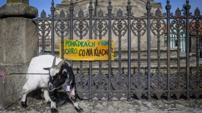 Na Kladně proběhne happening za svobodnou kulturu