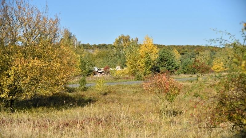 Ilustrační foto, zdroj web.natur.cuni.cz, foto: Miroslav Čábelka