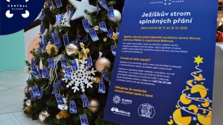 Ježíškův strom splněných přání se v Central Kladno krásně rozzářil