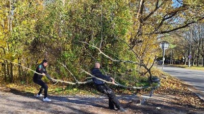 Kladenští strážníci ve čtvrtek evidovali více oznámení v souvislostí se silným větrem, v Pražské ulici pomáhali odklízet strom