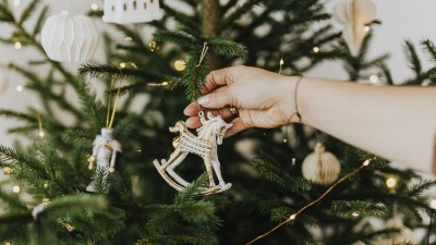Kolik letos stojí vánoční stromečky? Jsou dražší, lidé za ně dají dohromady skoro miliardu