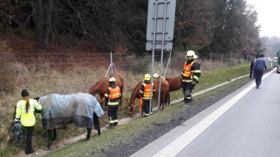 Kuriózní zásahy středočeských hasičů v roce 2022