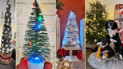 OBRAZEM: Stromečky ze šišek, dřeva, obří i miniaturní. Podívejte se do obýváků našich čtenářů