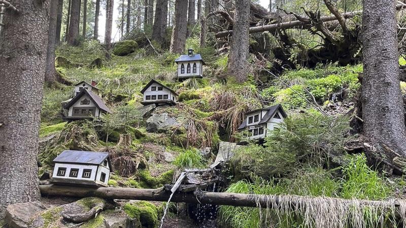 Minidomečky v lese, úchvatné vyhlídky! Objevte tajemné údolí v Krušných horách