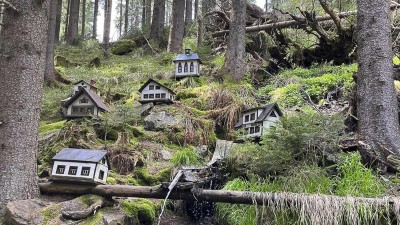 Tip na výlet do přírody: Minidomečky v lese, úchvatné vyhlídky! Objevte tajemné údolí v Krušných horách