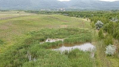 VIDEO: Takto vzniká nová krajina na okraji uhelného lomu. Podívejte se s námi k Hornímu Jiřetínu