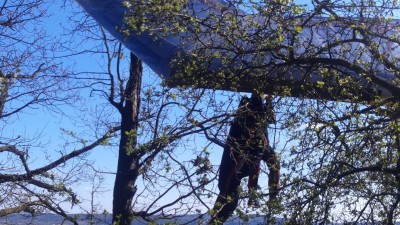 Obrazem: Rogalista zůstal i s kluzákem viset na stromě. Na pomoc mu spěchali hasiči, kteří se však zastavili u požáru
