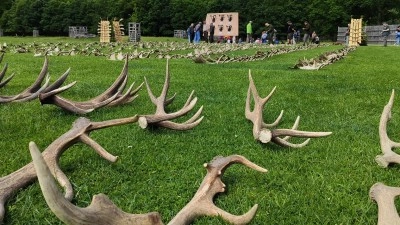 V Lánech probíhá výstava shozů lesní zvěře