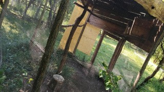 Policie pro&scaron;etřuje v Obůrce Podh&aacute;j vypu&scaron;těn&iacute; zv&iacute;řat, nikoliv kr&aacute;deže a tak&eacute; pomluvu