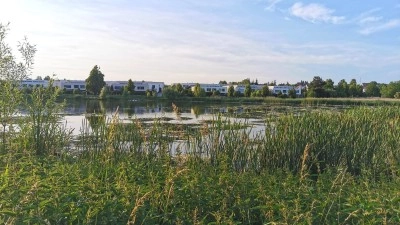 Kladno souhlasilo s posekáním rákosí u rybníka Bulhar. I když tu zahnizďovali ptáci