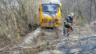 Spadlý strom zablokoval železnici, hasiči odklízeli v úterý stromy