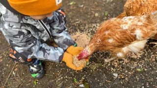 Mal&yacute; farm&aacute;ř z Velvar pros&iacute; o pomoc před ptač&iacute; chřipkou