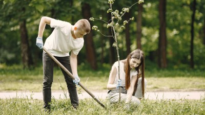 Kraj podpoří výsadbu stromů ve Slaném