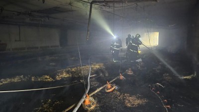 Hasiči zasahovali v Lánech. Přes osm tisíc kachňat uhořelo