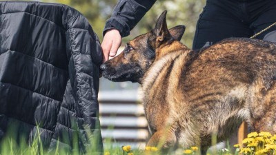 Psi hledali stopu a osoby i předměty v terénu, také drogy a výbušniny, či bránili psovoda. Probíhal přebor policejních kynologů