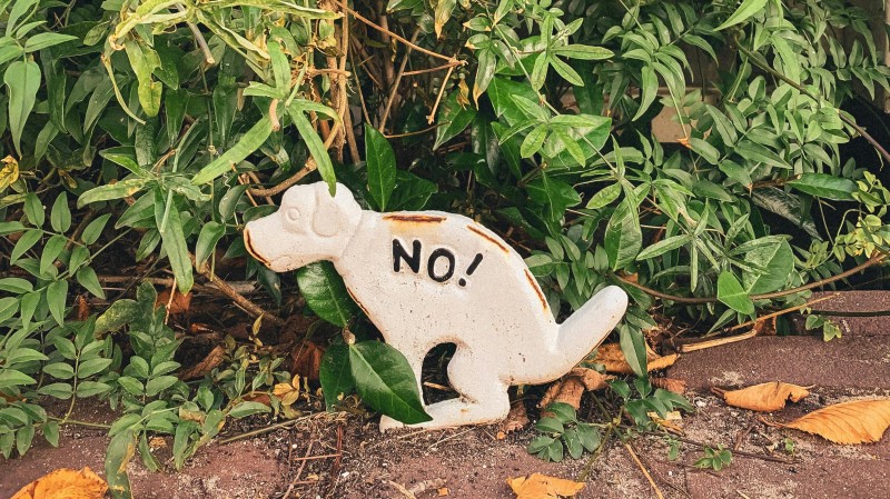 Muž nesb&iacute;ral na S&iacute;tn&eacute; po sv&eacute;m psovi exkrementy. Nakonec skončil v poutech